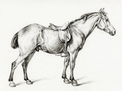 Cavalo em pé, de Jean Bernard (1775-1883) de Jean Bernard