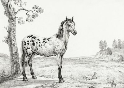 Cavalo malhado em pé de Jean Bernard