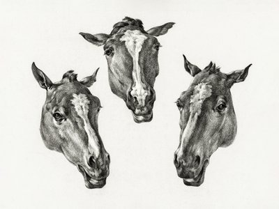 Três Cabeças de Cavalo (1812) de Jean Bernard