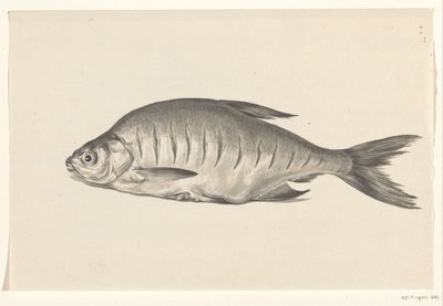 Peixe, deitado à esquerda, com entalhes de Jean Bernard