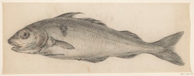 Peixes, à esquerda de Jean Bernard