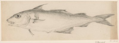Peixe, à esquerda de Jean Bernard