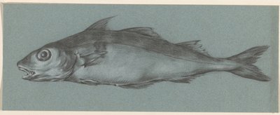 Peixes, à esquerda de Jean Bernard