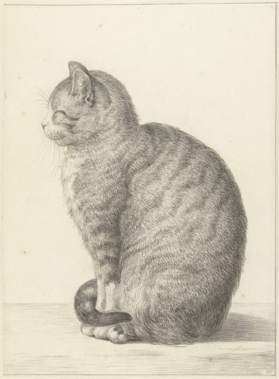 Gato sentado, virado para a esquerda de Jean Bernard