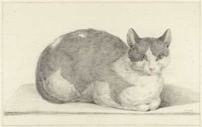 Gato sentado, à direita de Jean Bernard