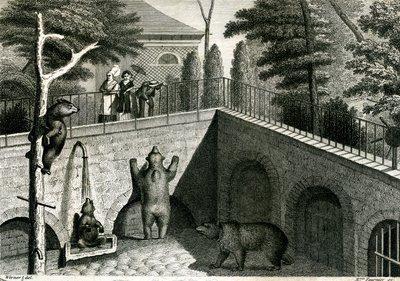 Covil de urso num jardim zoológico de Jean Charles Werner