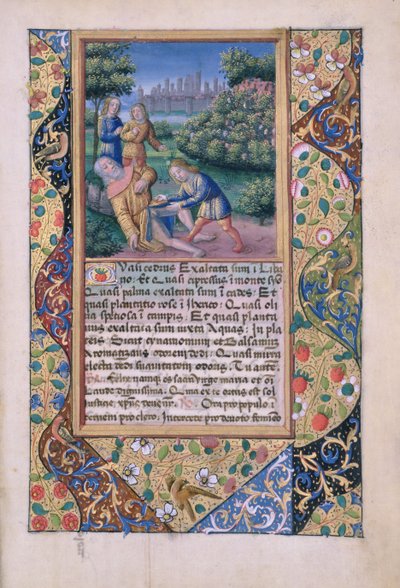 Senhora Lat. QVI126 fol.17 A embriaguez de Noé, do Livro de Horas de Louis d&39;Orleans, 1490 de Jean Colombe