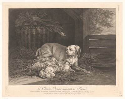 Cão de travão com crias num estábulo
La Chienne Braque avec toute sa Famille. (título sobre o objecto) de Jean Daullé