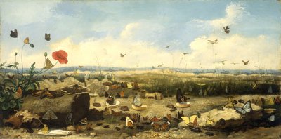A raça das borboletas, 1872 de Jean Eugene Doneaud