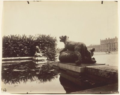 Versalhes, Fontaine du Point du Jour, (Tigre Terrassant un Ours de Houzeau) de Jean Eugène Auguste Atget