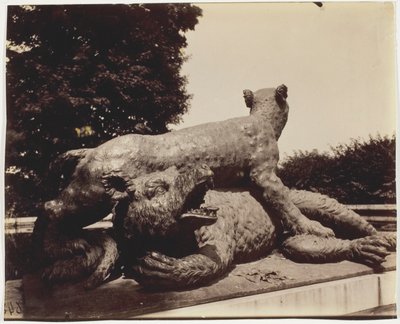 Versalhes, Fontaine du Point du Jour, (Tigre Terrassant un Ours de Houzeau) de Jean Eugène Auguste Atget