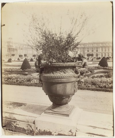 Versailles, Jarra de Ballin de Jean Eugène Auguste Atget