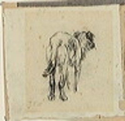 Estudo de um cão de Jean Francois Millet