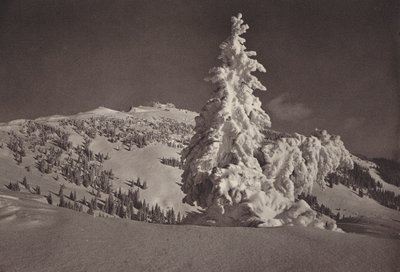 Rigi Kaltbad, Skigelande e Rigi Kulm (foto p/b) de Jean Gaberell