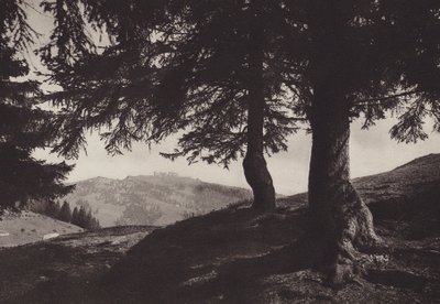 Rigi Staffel, caminho pedestre perto de Staffel (foto a p/b) de Jean Gaberell