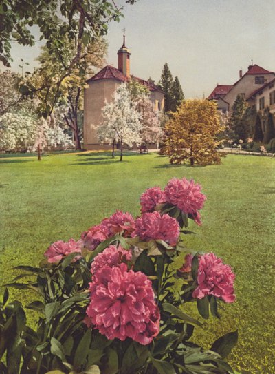 Suíça: Mammern no Lago de Constança, nos Jardins do Sanatório (foto colorida) de Jean Gaberell