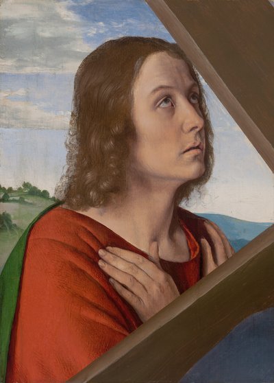 Fragmento de Cristo Carregando a Cruz: São João Evangelista, 150005. de Jean Hey