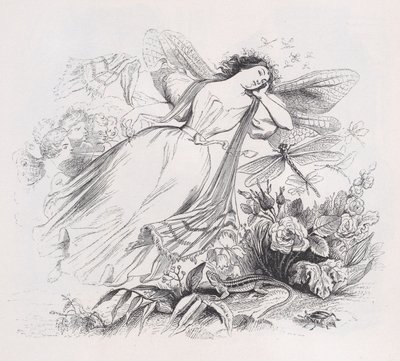 O Sylph de The Complete Works of Béranger, 1836. de Jean Ignace Isidore Gérard