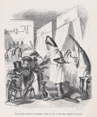 Vamos incisar os músculos, ver os ossos, em uma palavra, curar os doentes de Sc..., ca. 1837-47. de Jean Ignace Isidore Gérard