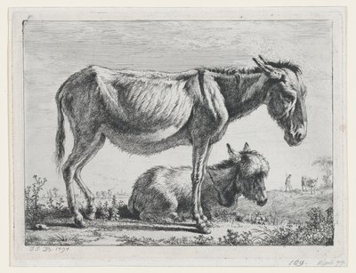 Jenny com seu potro, 1797. de Jean Jacques de Boissieu