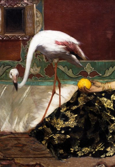 O Flamingo cor-de-rosa (pormenor) de Jean Joseph Benjamin Constant