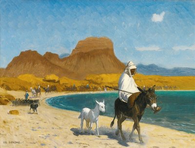 Golfo de Akaba (óleo sobre tela) de Jean Leon Gerome