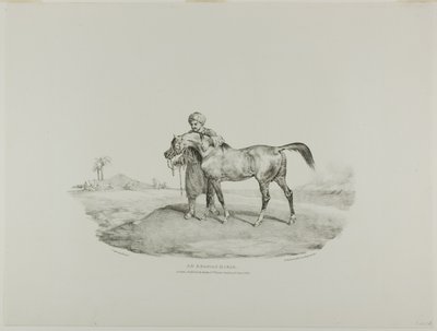Um Cavalo Árabe, placa 8 de Vários Objectos Desenhados da Vida e em Pedra (A Suite Inglesa) de Jean Louis André Théodore Géricault
