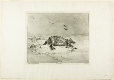 Cavalo morto de Jean Louis André Théodore Géricault