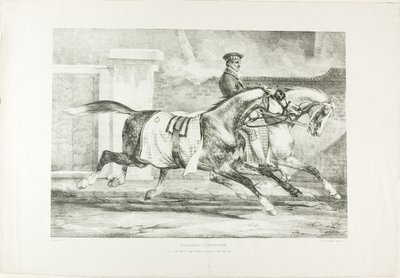 Cavalos em exercício, placa 6 de Vários temas desenhados a partir da vida na pedra de Jean Louis André Théodore Géricault