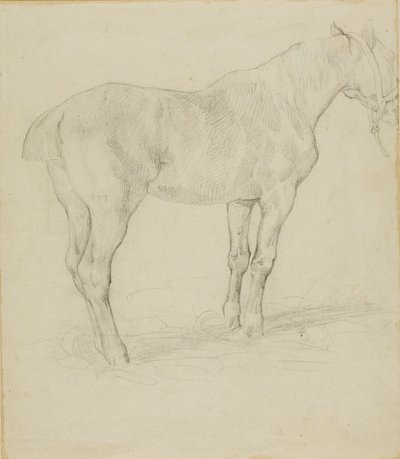 Cavalo de pé de Jean Louis André Théodore Géricault