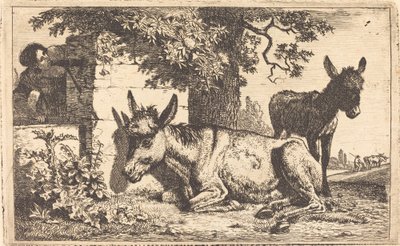 Um burro por um poço de água de Jean Louis Demarne