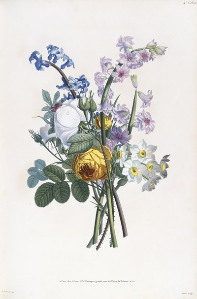 Narcissi, Rosa, Hyacynth, 1805 de Jean Louis Prevost