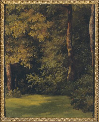 Uma clareira na floresta, 1840 de Jean Michel Cels