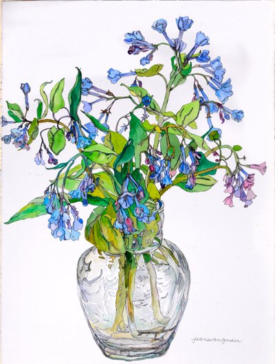 Virginia Blue Bells in Narrow Necked Vase, 2006 (aguarela e tinta sobre papel) de Jean Swan Gordon