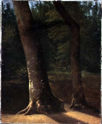 Estudo das árvores, c.1815 (óleo sobre papel) de Jean Victor (attr. to) Bertin