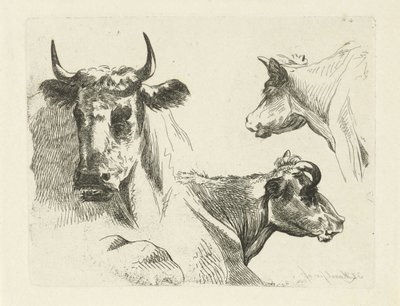 Três cabeças de vaca de Jean Zacherie Mazel