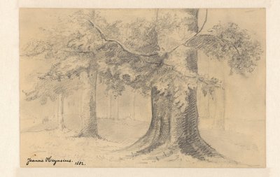paisagem com árvores de Jeanne Marie Heynsius (signed by artist)