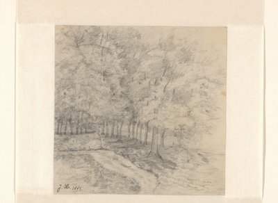 paisagem com árvores de Jeanne Marie Heynsius (signed by artist)
