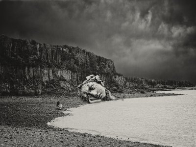 Cabeça de pedra caída de Jeffrey Hummel