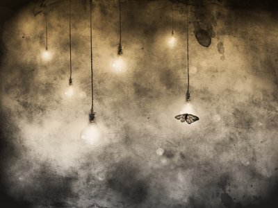 Traça e lâmpadas brilhantes de Jeffrey Hummel