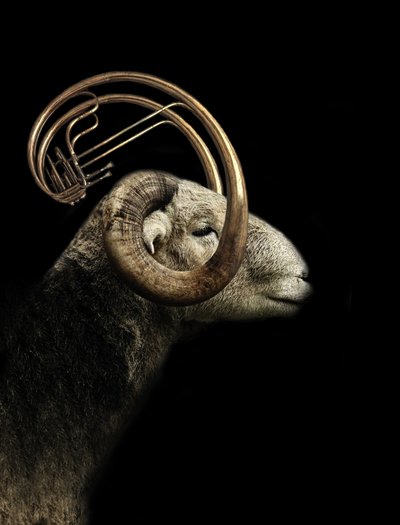 Perfil do Ram Musical de Jeffrey Hummel