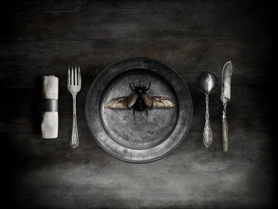 Uma refeição de besouros inquietante de Jeffrey Hummel