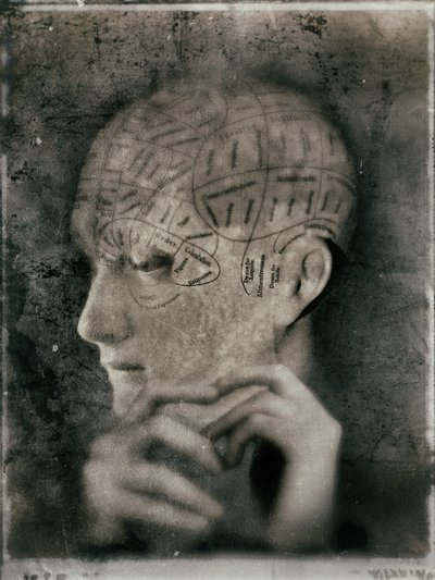 Estudo vintage sobre frenologia de Jeffrey Hummel