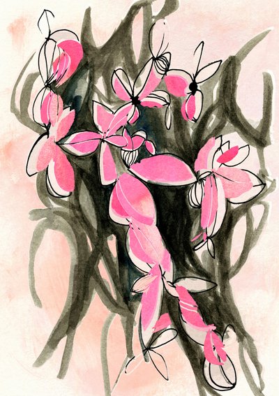 Flores abstratas cor-de-rosa de Jenja Braun