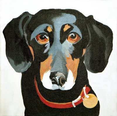Buster, 2012 (acrílico sobre tela) de Jennifer Abbott