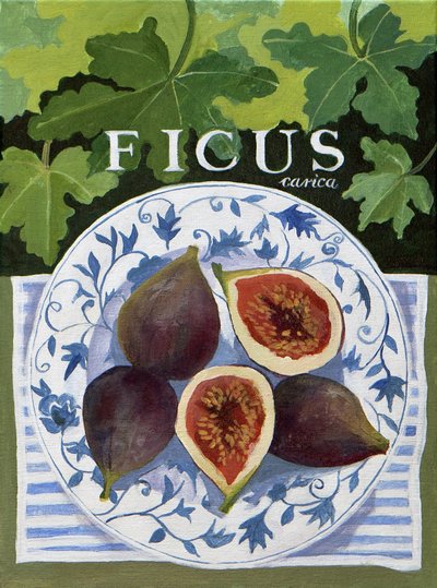 Fieus (figos), 2014 (acrílico sobre tela) de Jennifer Abbott