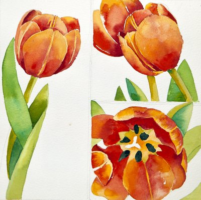 Três estudos de tulipas numa certeza, 2013 (aguarela) de Jennifer Abbott