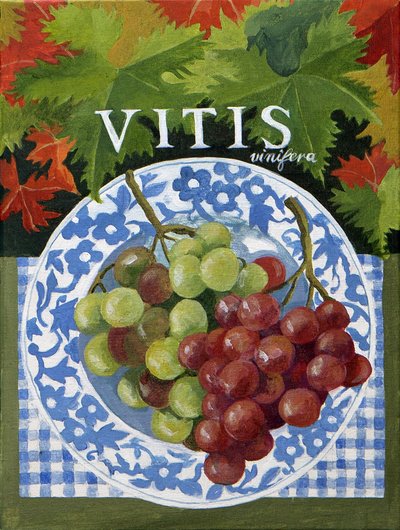 Vitus (uvas), 2014 (acrílico sobre tela) de Jennifer Abbott