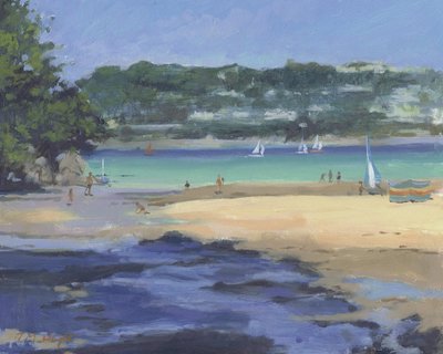Salcombe Millbay Morning (óleo sobre tela) de Jennifer Wright