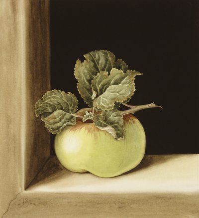 Apple (wc no papel) de Jenny Barron